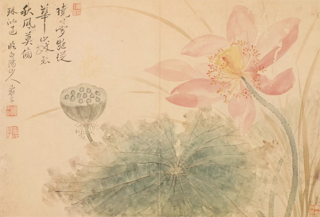 Lotus Emerging Water Yun Shouping