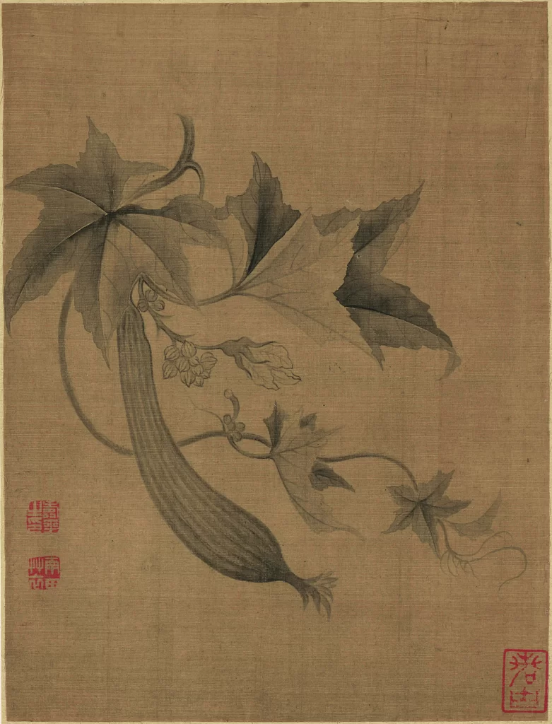 Luffa Gourd Vines Flowers Yun Shouping