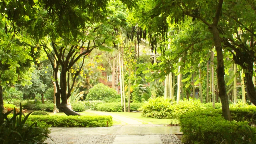 Lush Greenery Garden Path Tropical Plants Serene Natural Sunlight