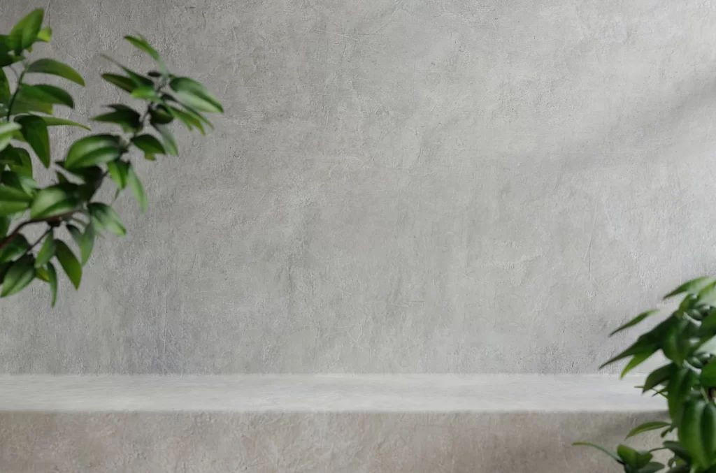 Minimalist Concrete Shelf Background with Green Plant Leaves