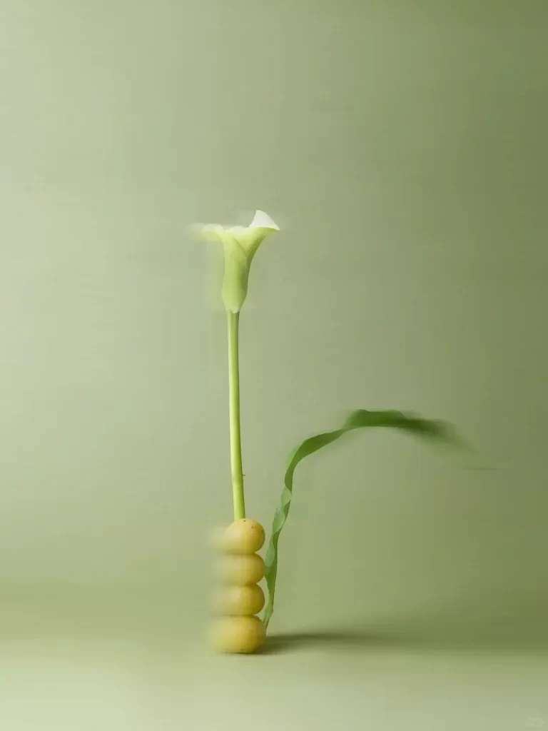 Minimalist Flower Vase Green Leaf
