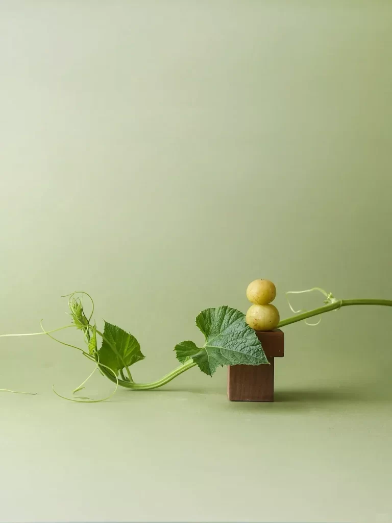 Minimalist Greenery Natural Simplicity Organic