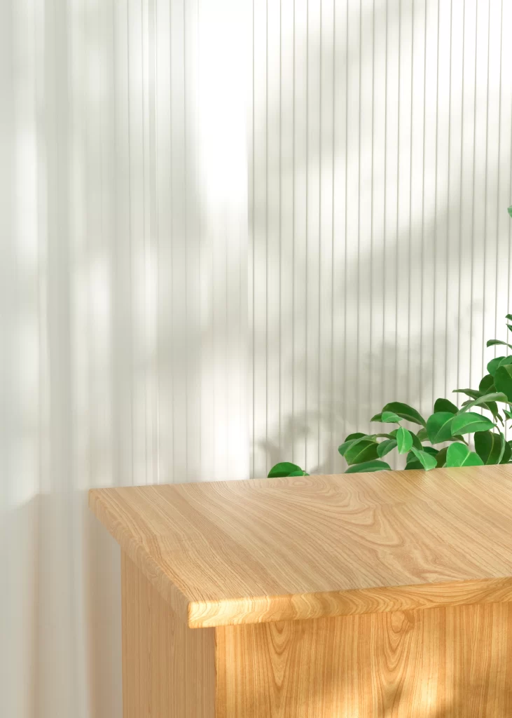 Minimalist Home Interior with Natural Decor