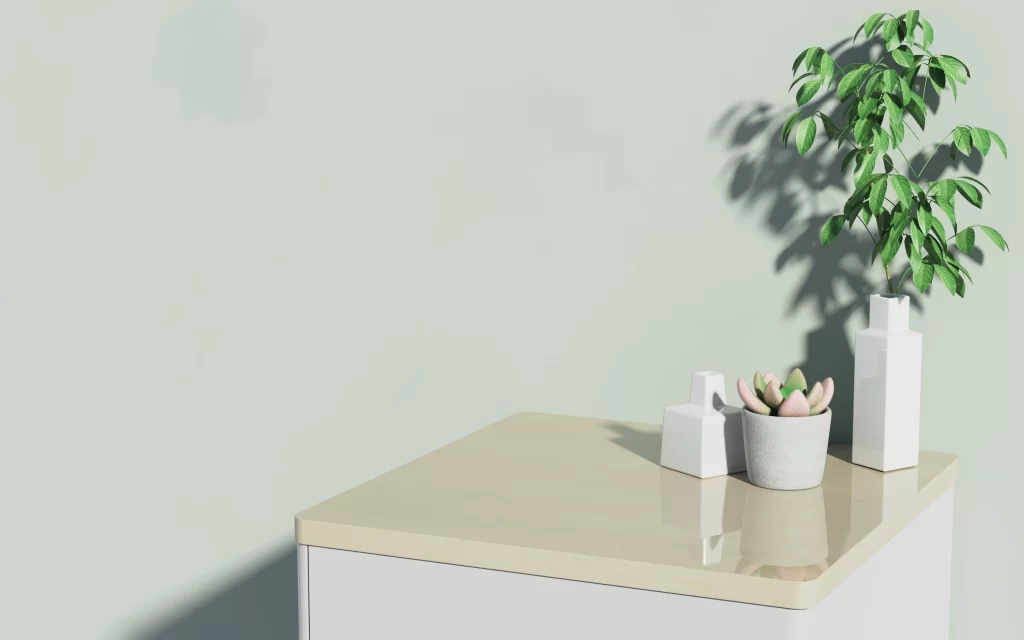 Minimalist Interior Decor with Potted Plants