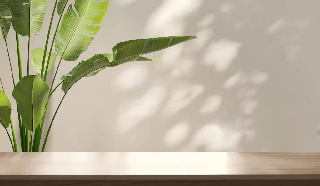 Minimalist Interior with Decorative Objects and Natural Materials