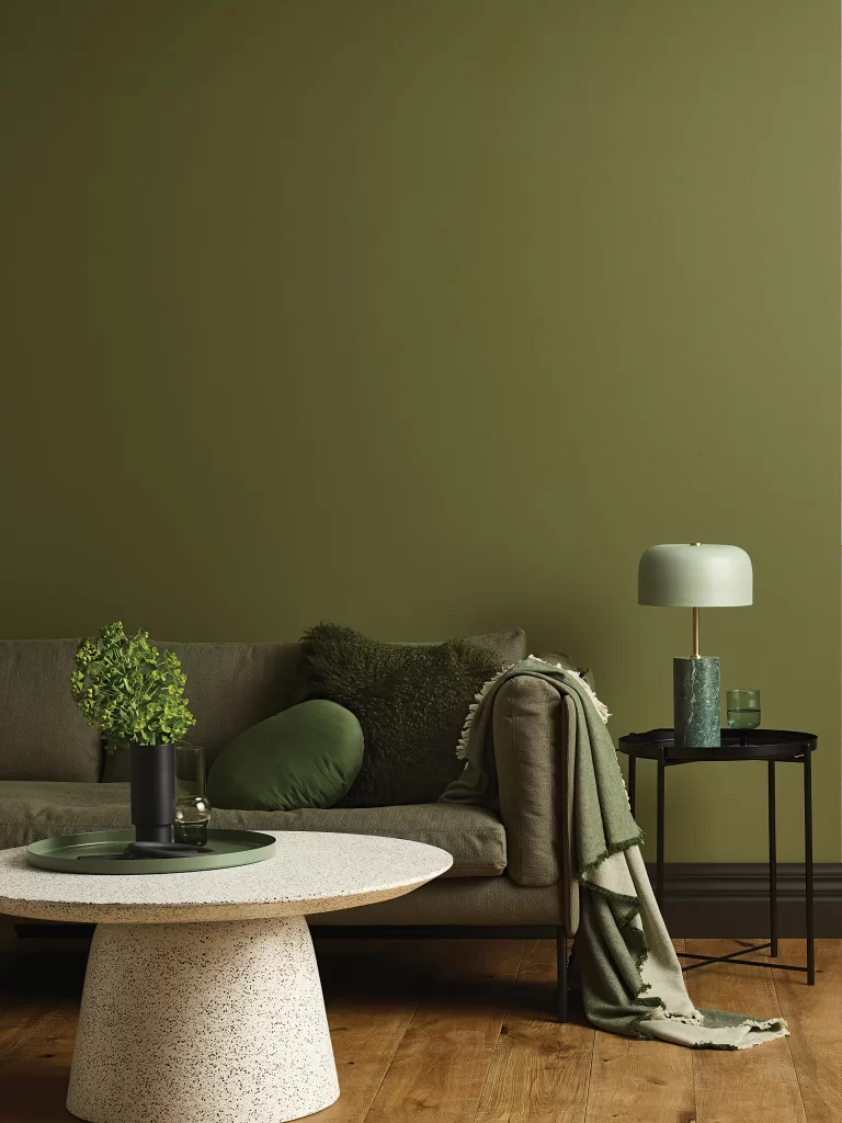 Minimalist Interior with Decorative Plants and Clean Lines