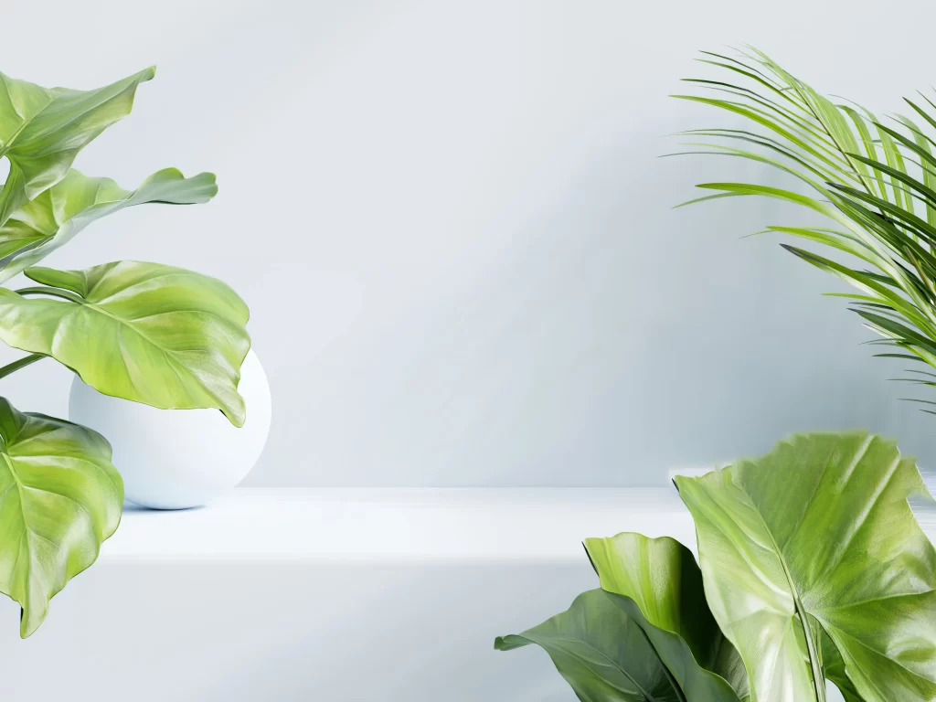 Minimalist Interior with Wooden Shelf and Plants