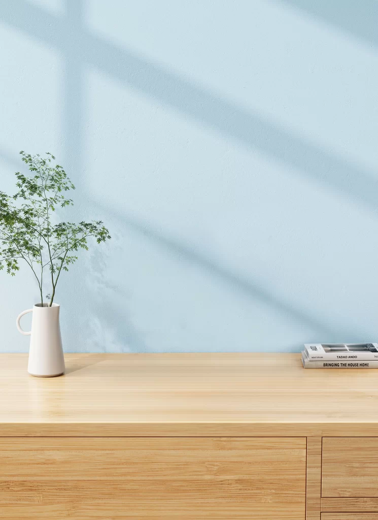 Minimalist Japandi Interior with Wooden Cabinet and Architecture Books