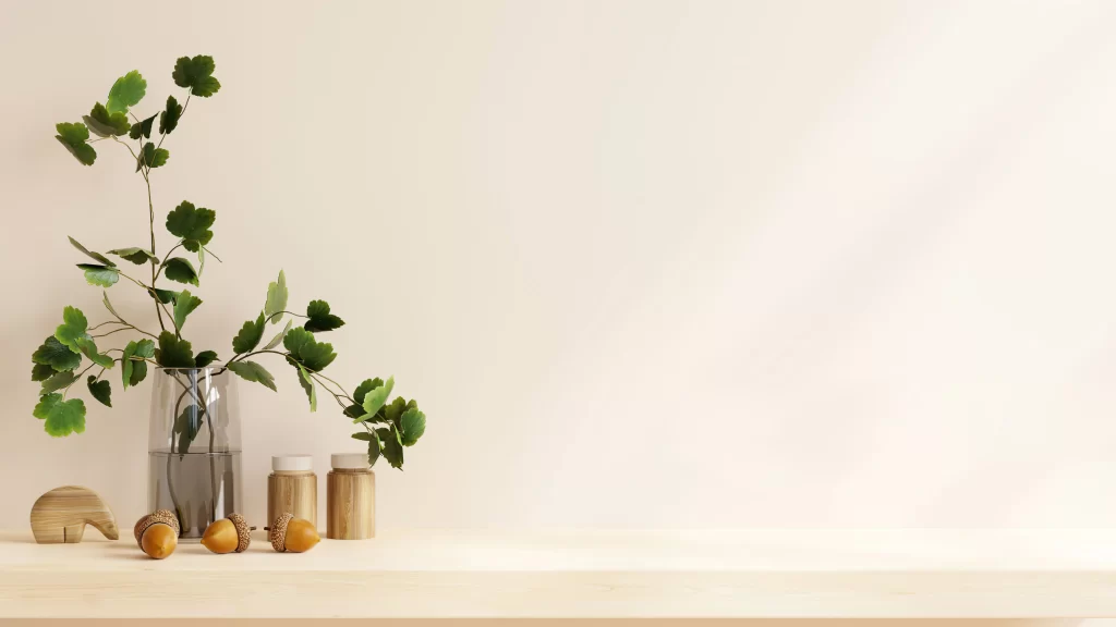 Minimalist Scandinavian Home Decor with Green Plant and Wooden Accessories