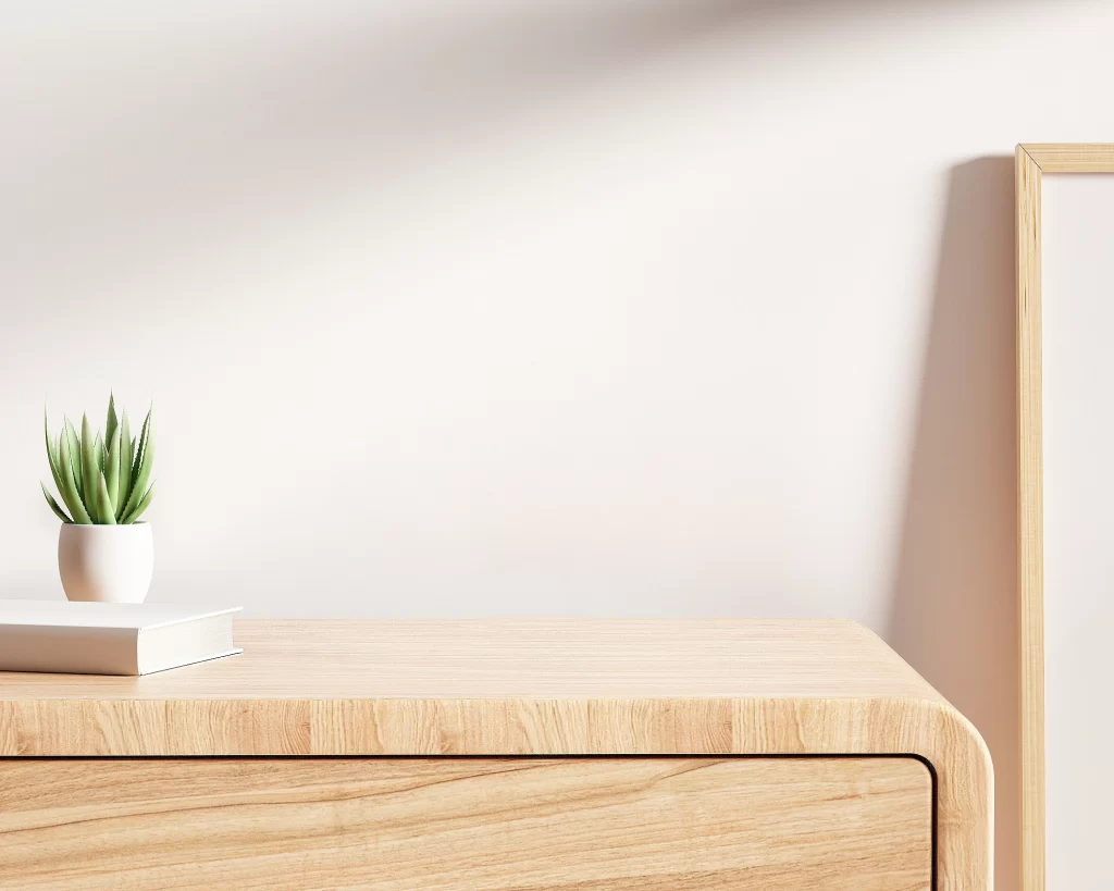 Minimalist Scandinavian Interior with Wooden Cabinet and Succulent