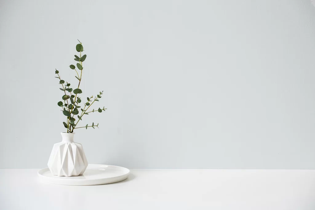 Minimalist White Geometric Vase with Eucalyptus Branches