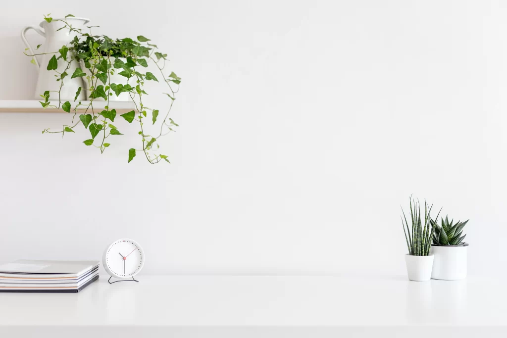 Minimalist White Workspace with Plants and Clock