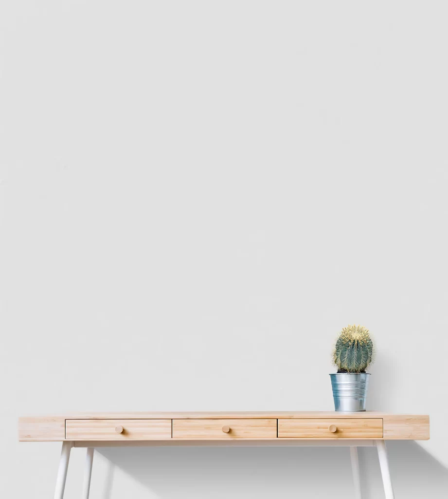 Minimalist Wooden Console Table with Cactus