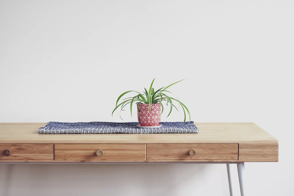 Minimalist Wooden Desk with Potted Houseplant