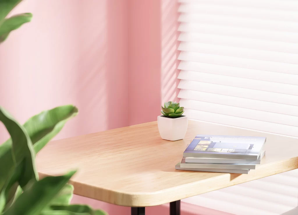 Minimalist Workspace Desk Setup with Books and Succulent Plant
