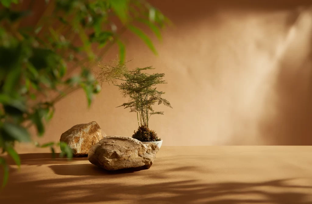 Minimalist Zen Still Life with Potted Fern and Natural Stones