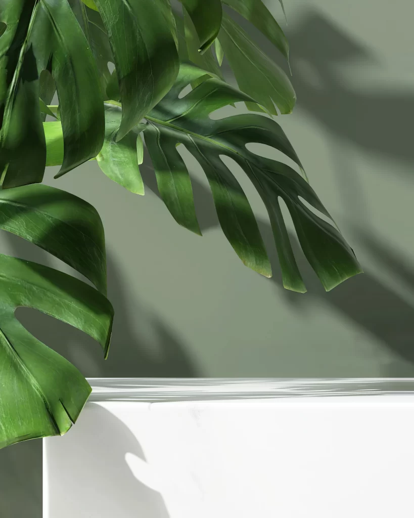 Modern Minimalist Interior Botanical Elements