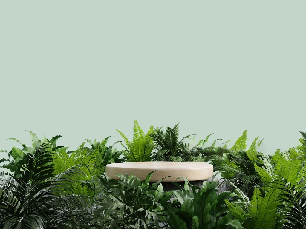 Modern Minimalist Interior with Natural Textures