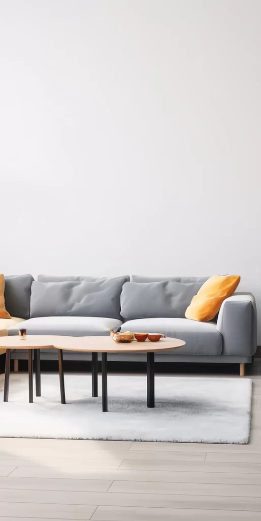 Modern Minimalist Living Room With Grey Sofa
