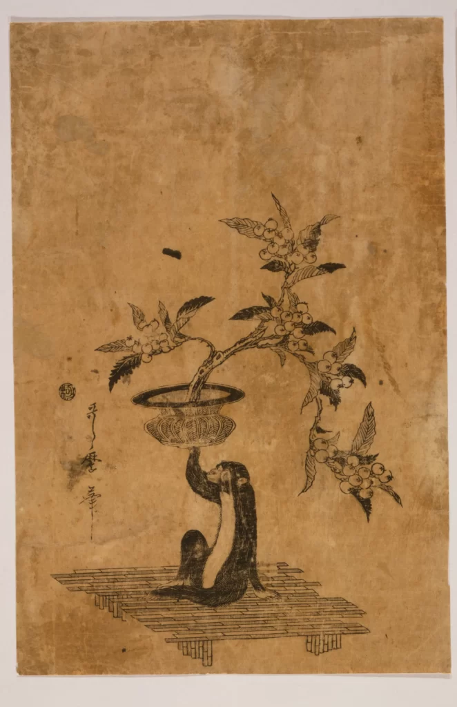Monkey Fruit Branch Bowl Leaves