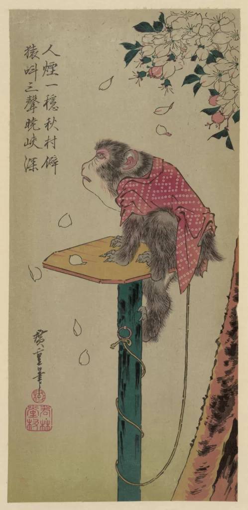 Monkey Traditional Attire Cherry Blossoms Japanese Art Woodblock Print