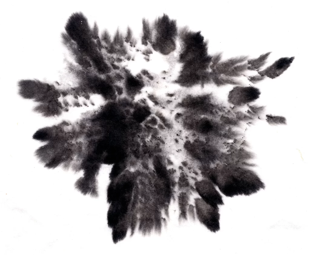 Monochrome Organic Spontaneous Textured Dynamic Fluid