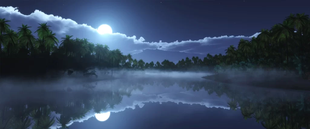 Moonlight Mist Reflection Palm Trees Night Tranquil