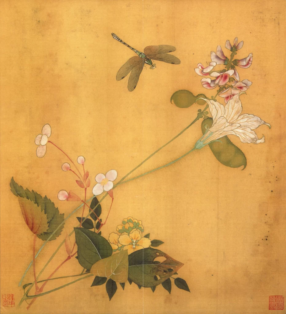 Morning Glory Dragonfly Legume Pods Wang Zhong