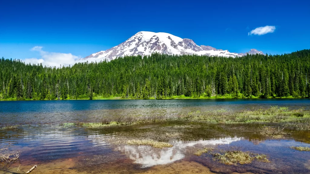 mountain lake forest snow clear sky
