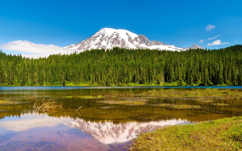 mountain lake forest snow reflection
