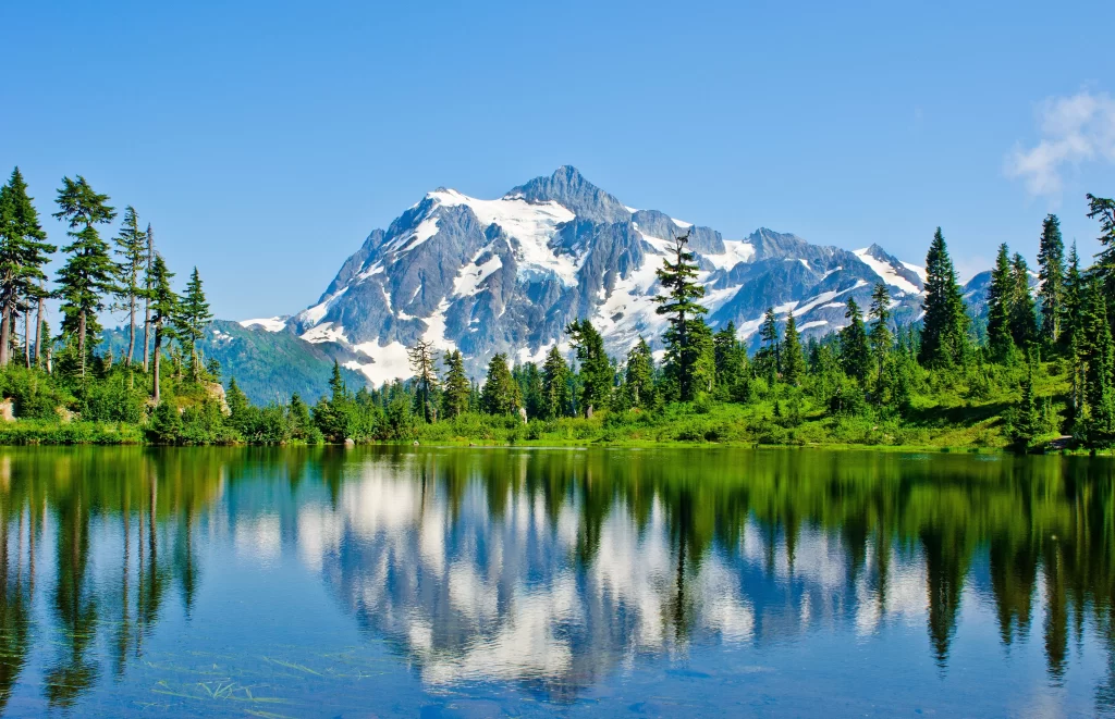 mountain lake snow trees reflection clear