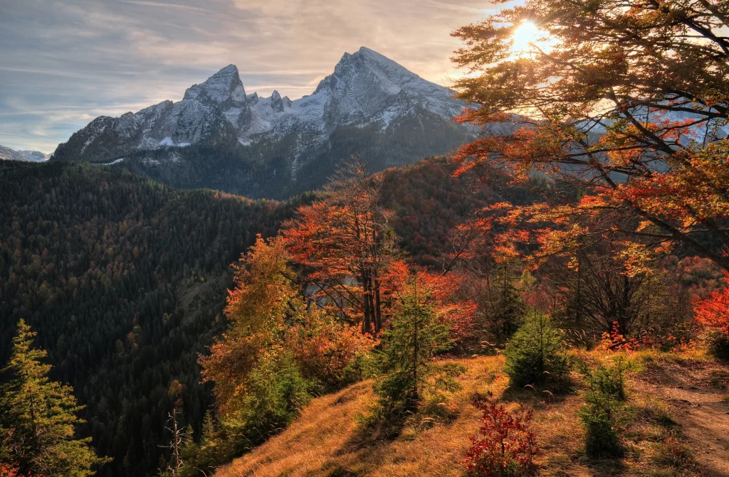 mountains autumn trees sunlight landscape