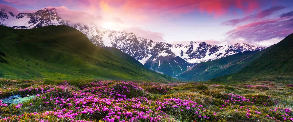 mountains flowers sunset sky clouds nature