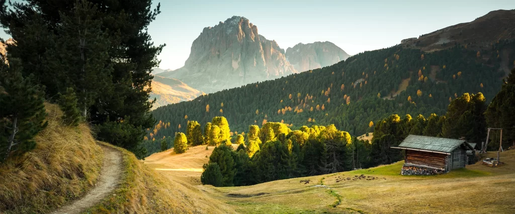 Mountains Forest Path Cabin Sunlight Nature