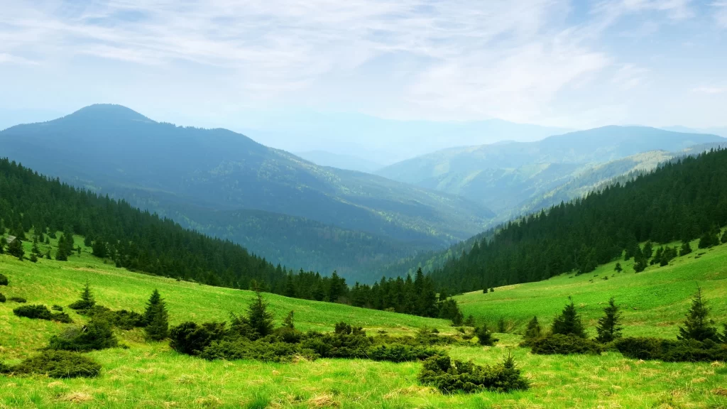 mountains green grass trees sky valley