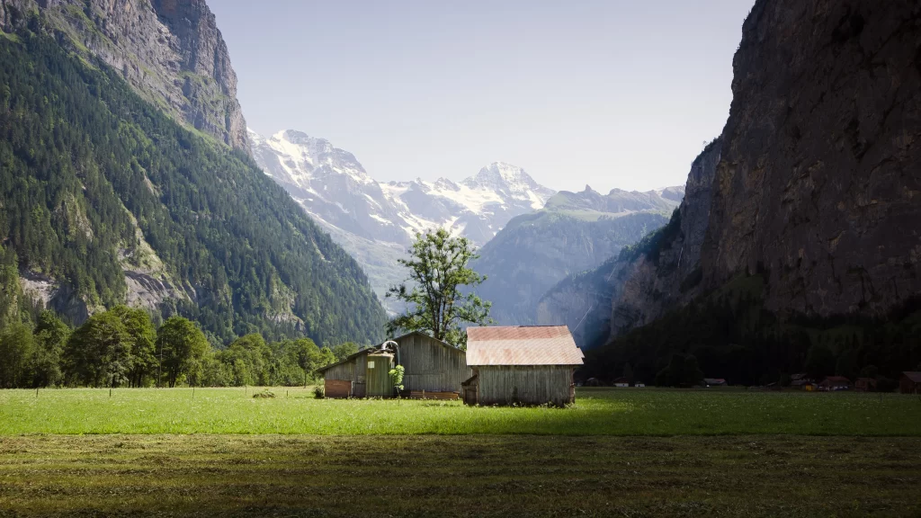 mountains greenery house tree valley snow