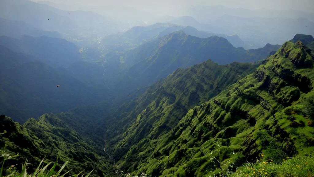 mountains greenery valley misty serene nature