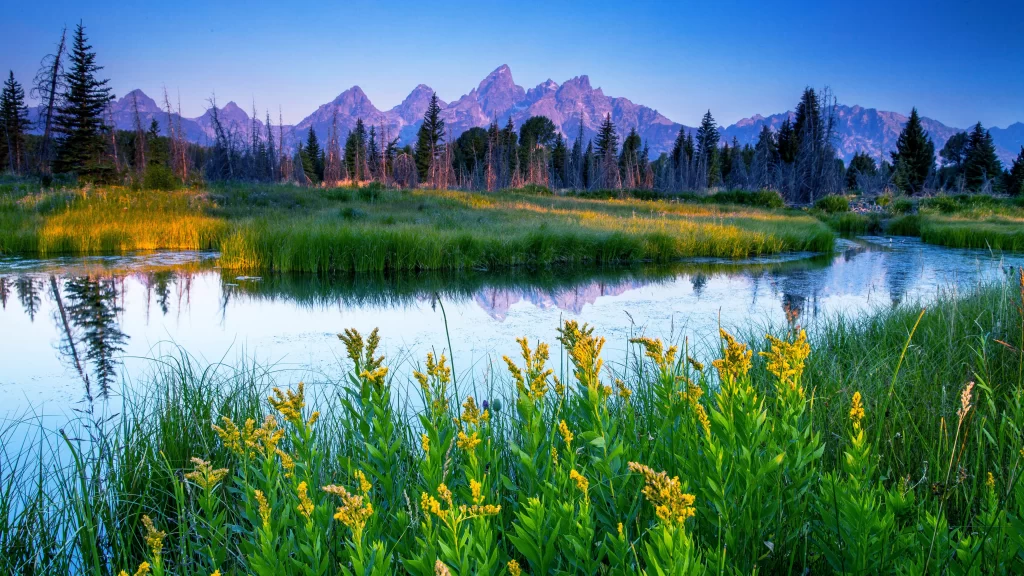 Mountains Lake Reflection Flowers Trees Sky