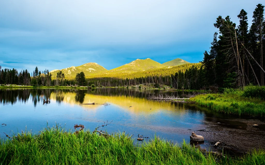 mountains lake trees grass reflection