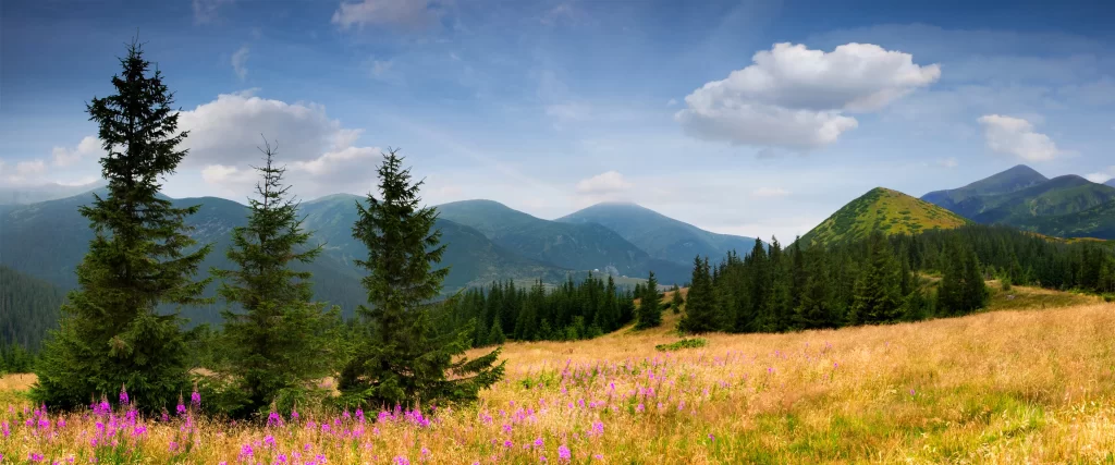 Mountains Trees Grass Flowers Sky Clouds