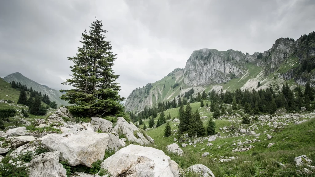 mountains trees rocks clouds green landscape