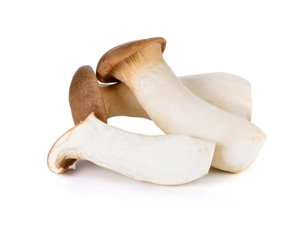 Mushroom Brown Creamy Cap