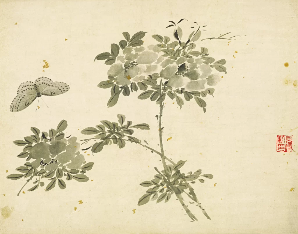 Narcissus Butterfly Du Dacheng