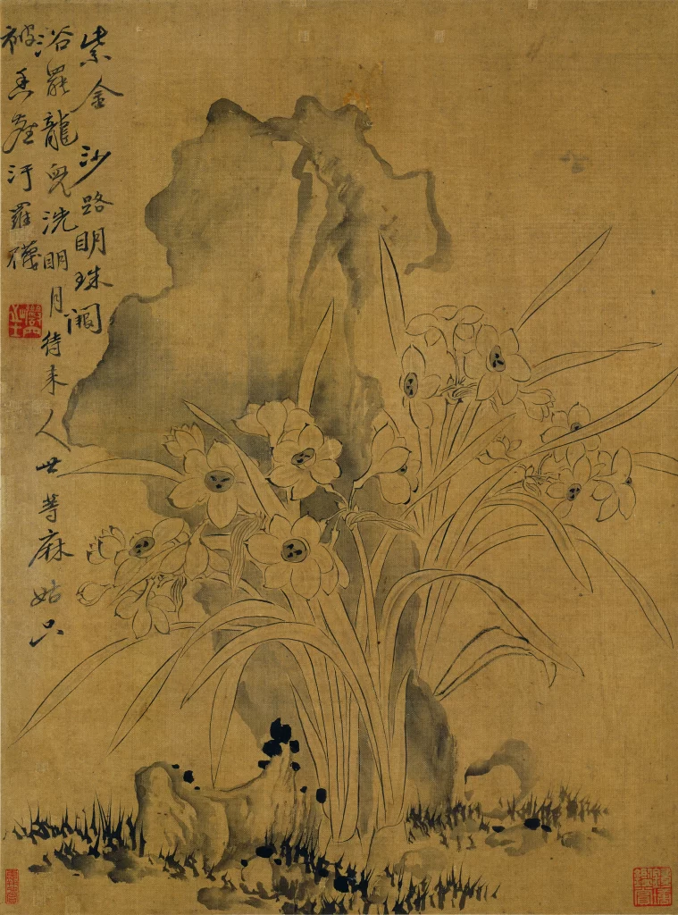 Narcissus Rocks Yun Shouping