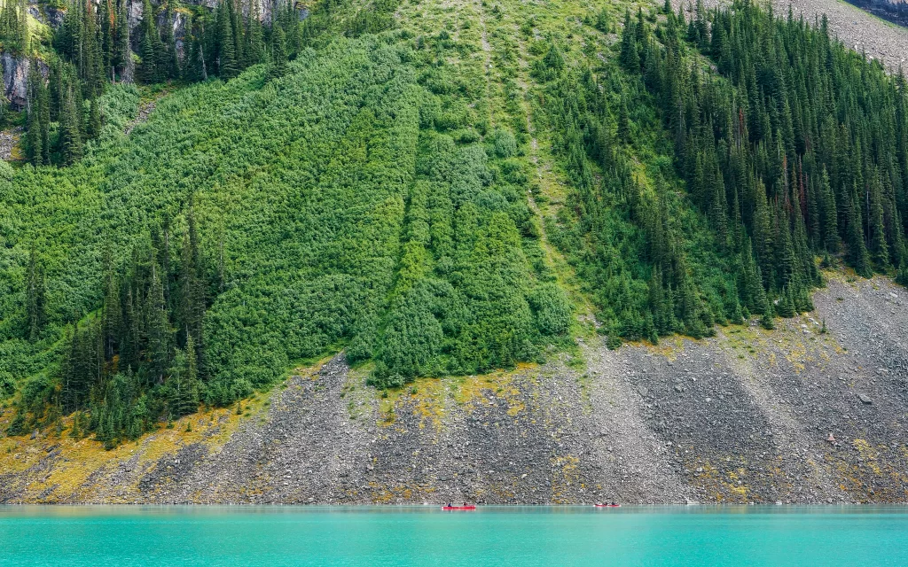 nature green trees water mountain