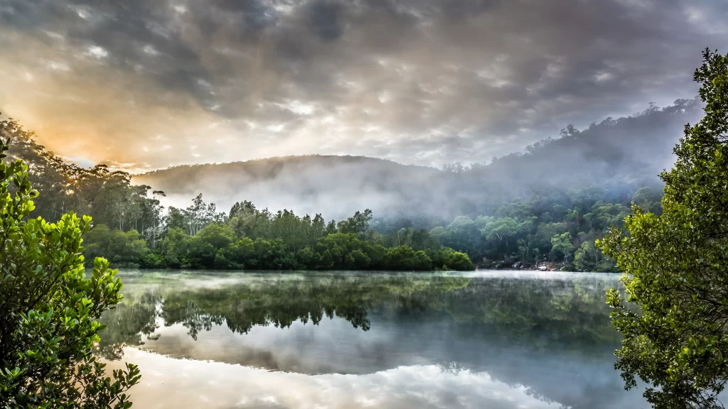 Nature Lake Trees Mist Sunrise Mountains