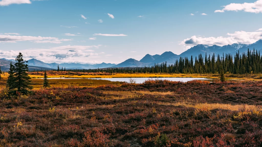 nature landscape autumn trees mountains lake