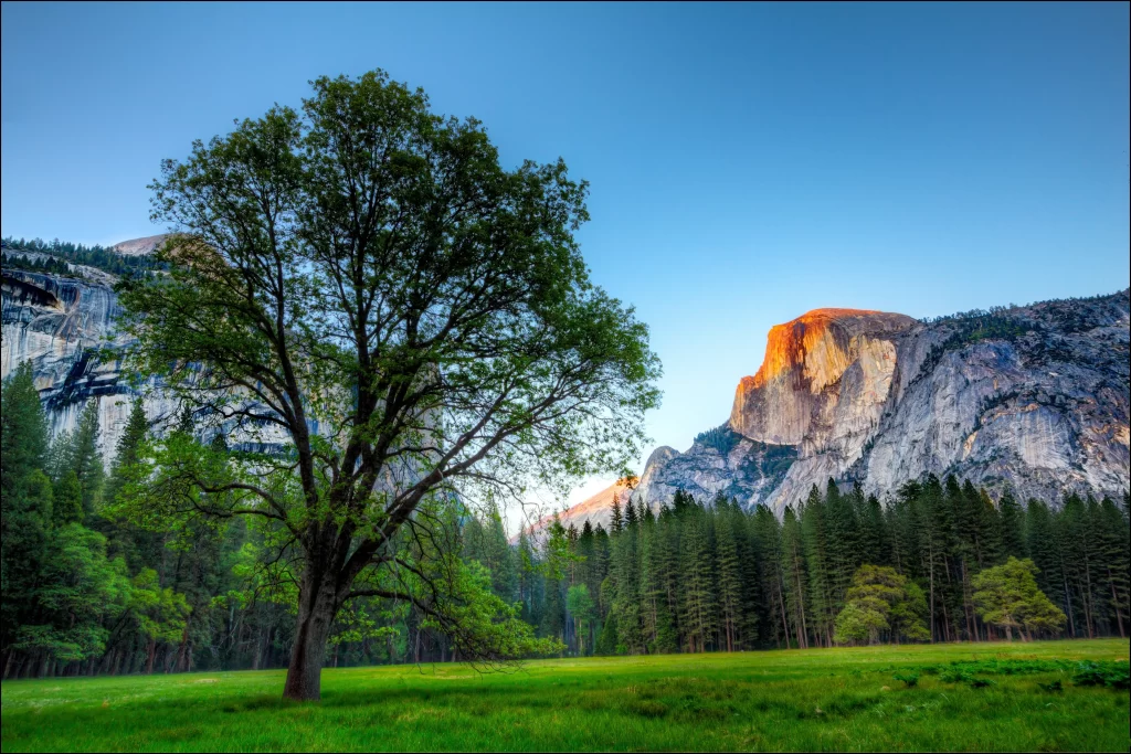 nature landscape tree mountain sky