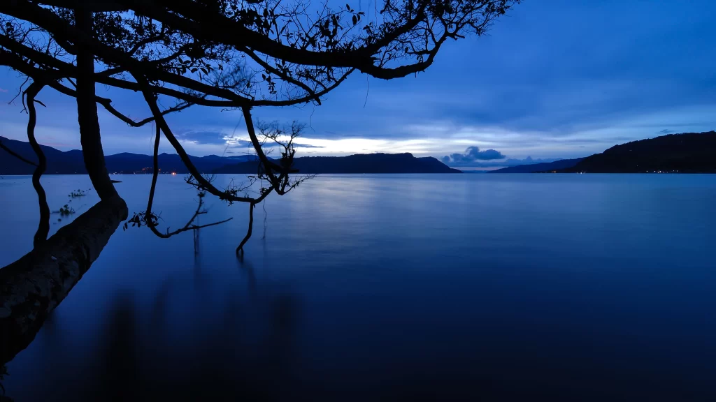 night lake tree calm reflection sky