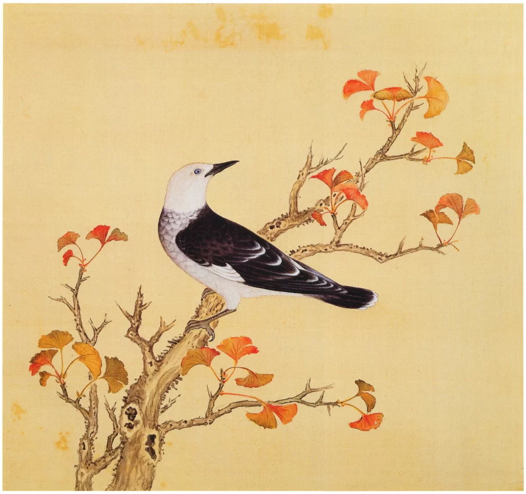 Nuthatch Tree Bark Downward Yu Sheng